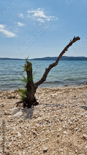 Fototapeta Naklejka Na Ścianę i Meble -  Beach stone three, Croatia
