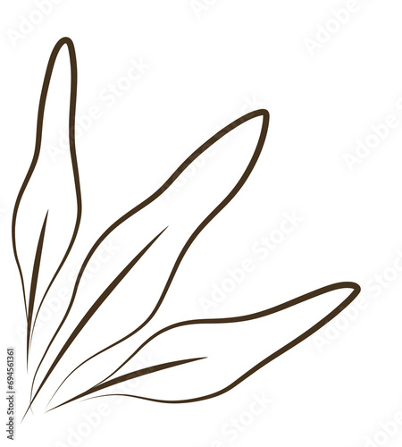 bird of paradise leaves monoline