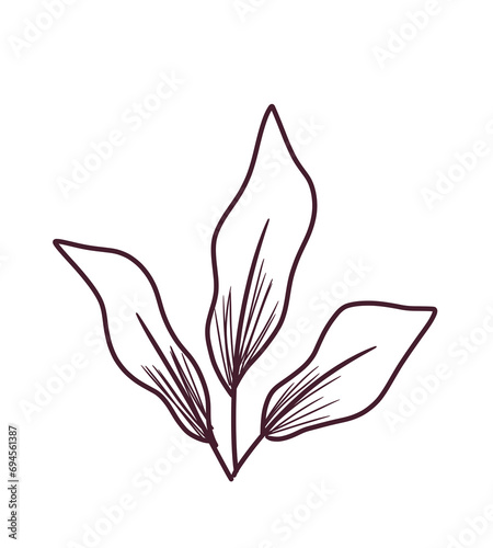 black and white flower leaf doodle art