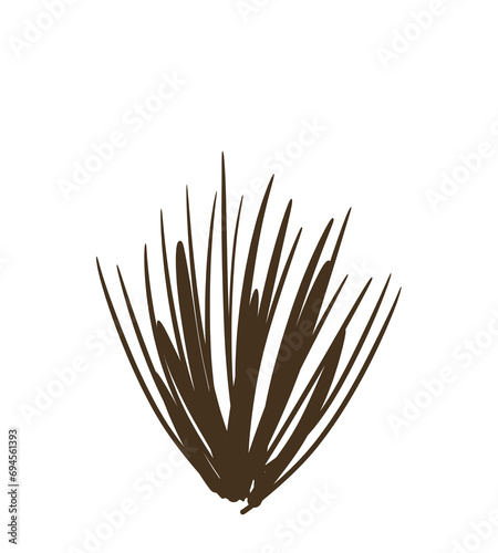 toothpicks isolated on white