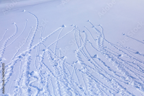 Wallpaper Mural Funny snow tracks on a slope in the mountains.  Torontodigital.ca