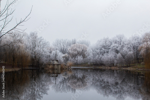 Winter landscape in Moldova on a cloudy day.