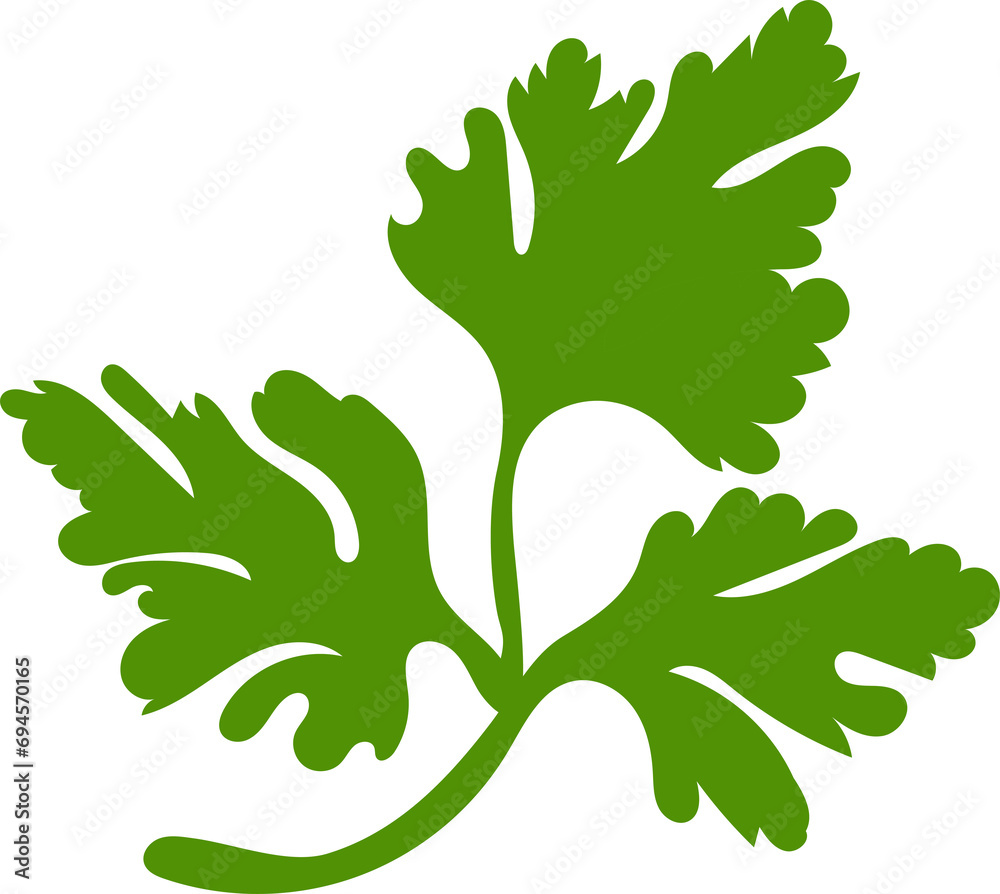 cilantro, parsley leaf green cartoon. herb food, fresh ingredient, seasoning, raw, organic  leaf  transparent, png