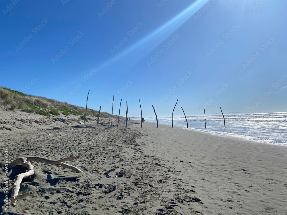 Driftwood logs standing up in the sand on Waimairi Beach, Christchurch, New Zealand on a blue sky day.