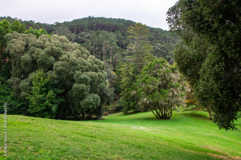 Landscape view of a golf course in the middle of the forest