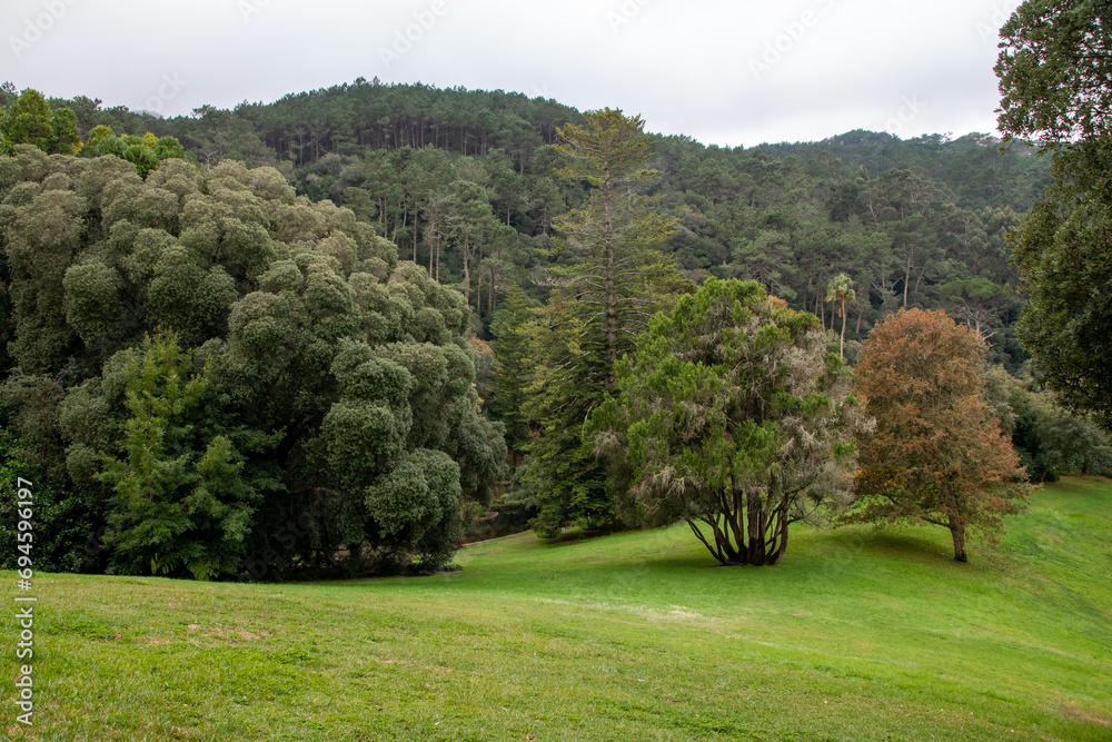 Landscape of a golf course with green grass and trees in the background Landscape of a golf course with green grass and trees in the background