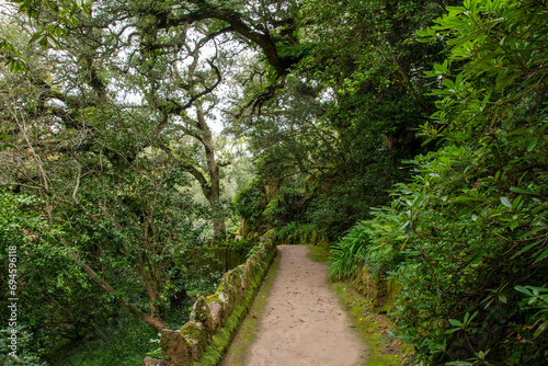 Hiking trail in the rainforest of Doi Inthanon National Park, Chiang Mai, Thailand photo