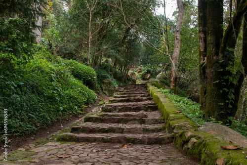 Stone stairs in the forest  Phetchabun  Thailand
