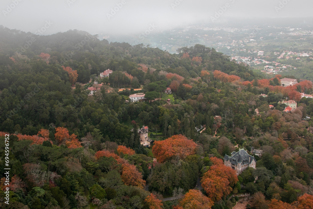 Aerial view of a hillside in autumn with trees and fog