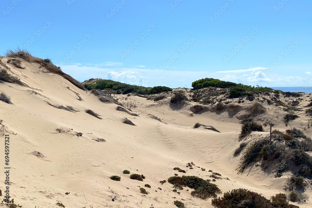 Sand dunes on the north coast of the island of Sardinia