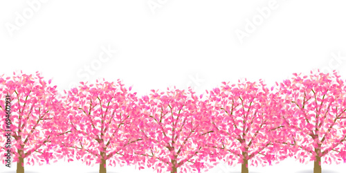 桜　風景　春　背景	