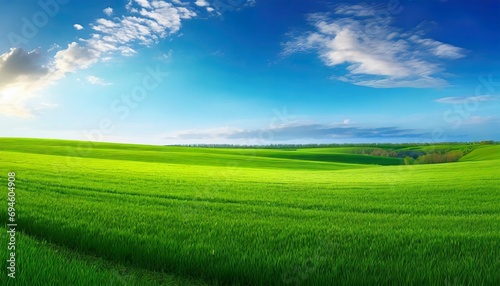 Natural scenic panorama green field