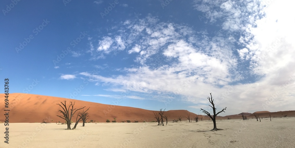 Dead Vlei, Sossusvlei, Namibia