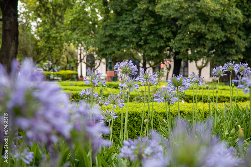 San Antonio de Areco
