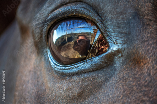  We see an abstract, artistic photograph, about the eye of a horse, it reflects the exact moment in which the shot was taken, department of La Paz, Mendoza Argentina