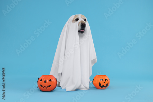 Cute Labrador Retriever dog wearing ghost costume with Halloween buckets on light blue background