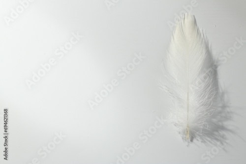 Fluffy white feather on light background  top view. Space for text