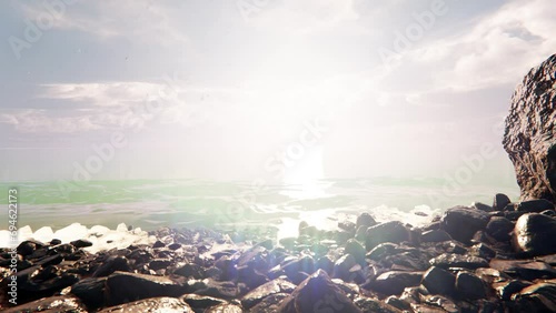 The bloom rock beach and clear sky