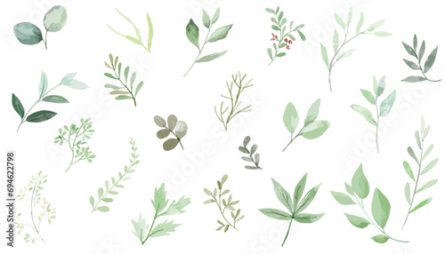 Set of watercolor green leaves elements. Collection botanical vector isolated on white background suitable for Wedding Invitation  save the date  thank you  or greeting card.