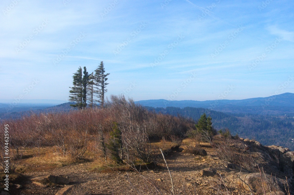 Pine trees standing alone at the edge of a stone outcropping, known as angel's rest. Pine trees standing alone at the edge of a stone outcropping, known as angel's rest.