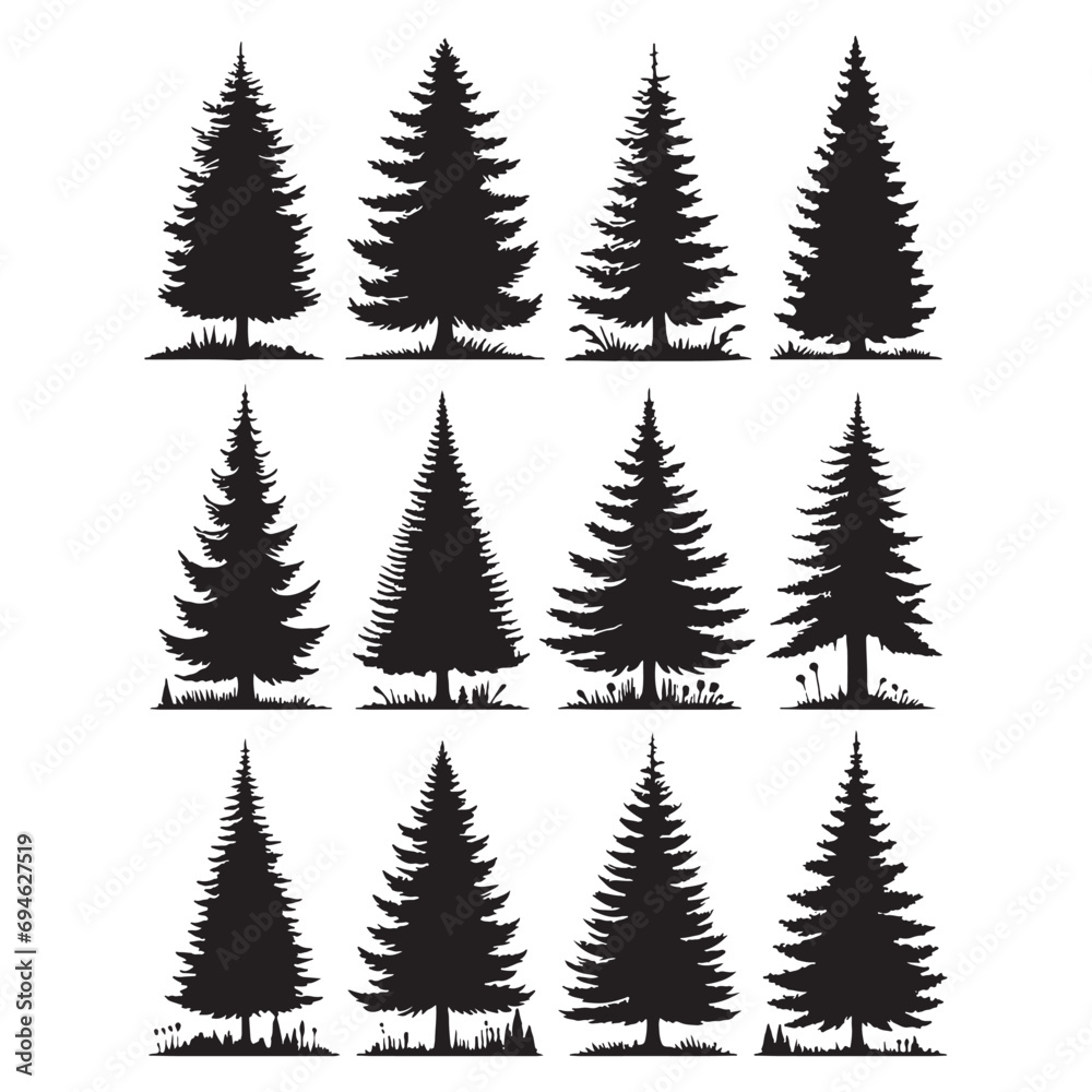 Isolated Pine on the white background. Pine silhouettes. Tree hand drawn. Vector EPS 10.