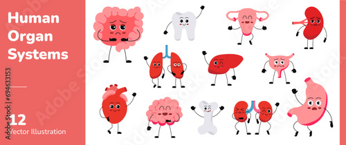 Human Organ Systems Character