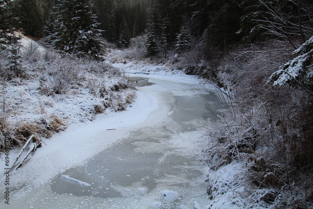 stream in winter
