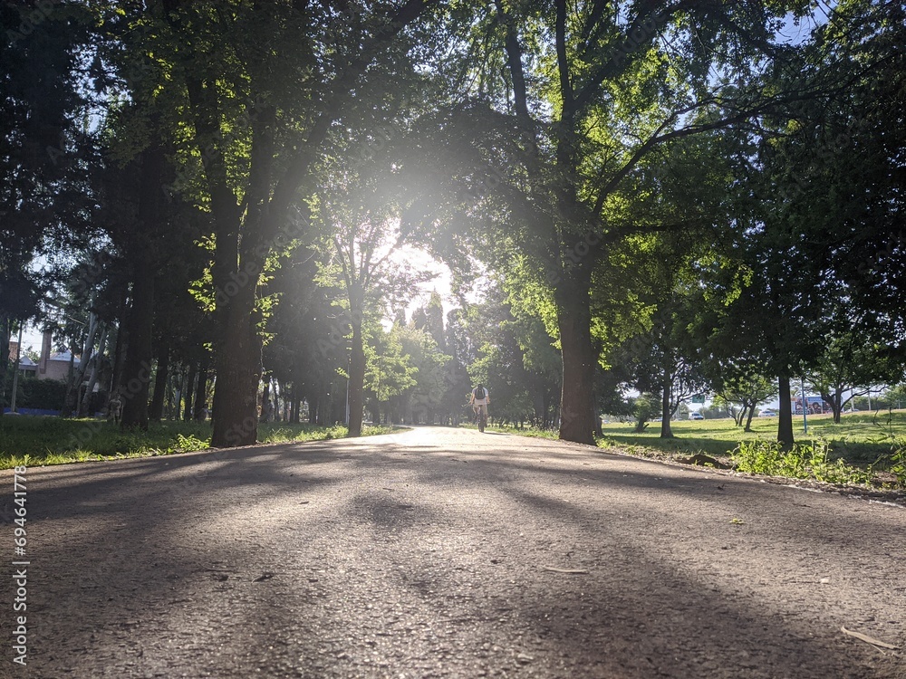 Obraz premium road in the park