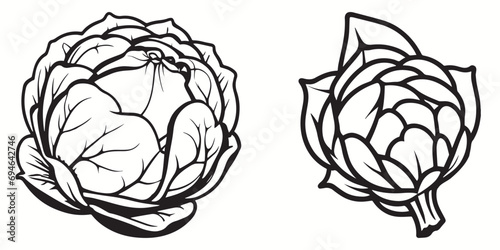 Brussels sprouts silhouettes and icons. Black flat color simple elegant white background Brussels sprouts vegetable vector and illustration.