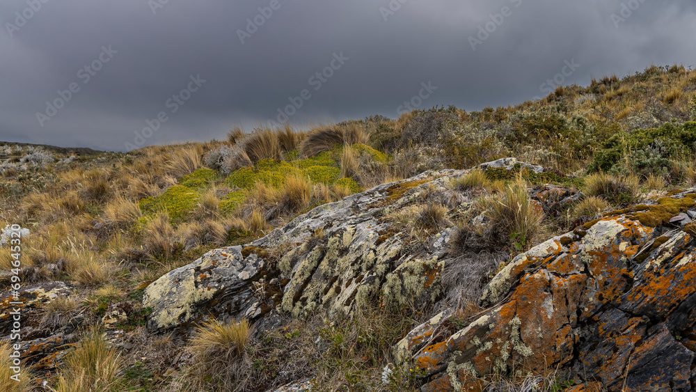 Southern Patagonia. Grasses and stunted bushes grow on the hillside. Orange and yellow lichens on the rocks. Cloudy sky. Argentina. Tierra del Fuego Archipelago. Bridges Island.
