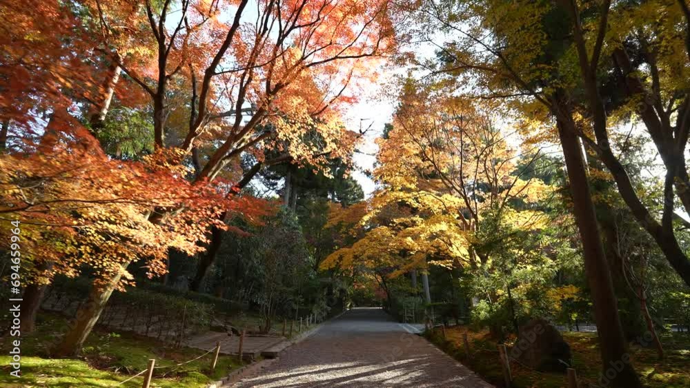 龍安寺 京都 紅葉 龍安寺 京都 紅葉