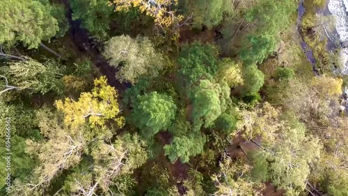 An Aerial Shot Of A Grove By The Lake And Waves Flowing On The Rocky Shore photo