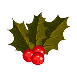 holly berries illustration