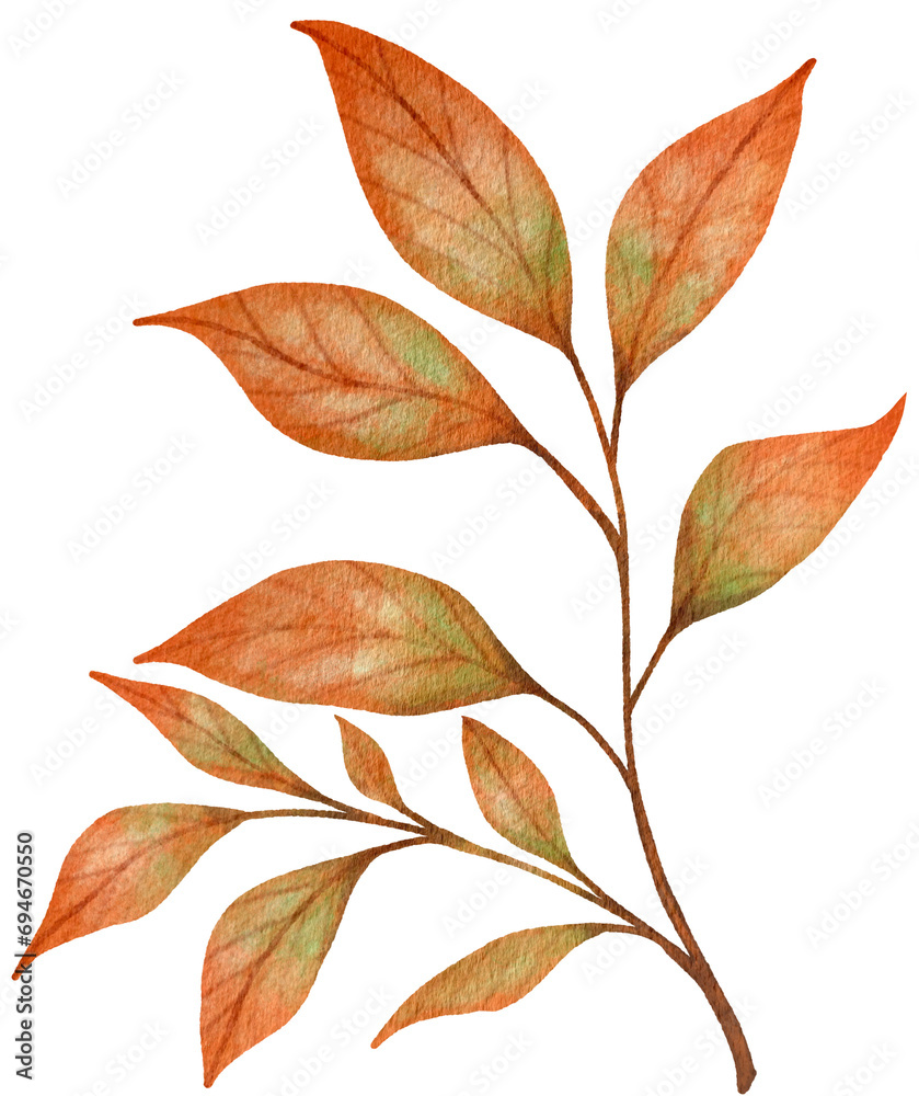 Naklejka premium Autumn Brown Leaves watercolors