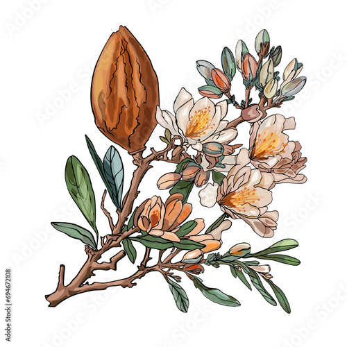 Beautiful realistic flower on a tree branch. Sticker almond. Spring blossom of fruit trees. Sakura, cherry, peach, apple blossom. Cute design for print, clothes, postcard, t-shirt, logo,