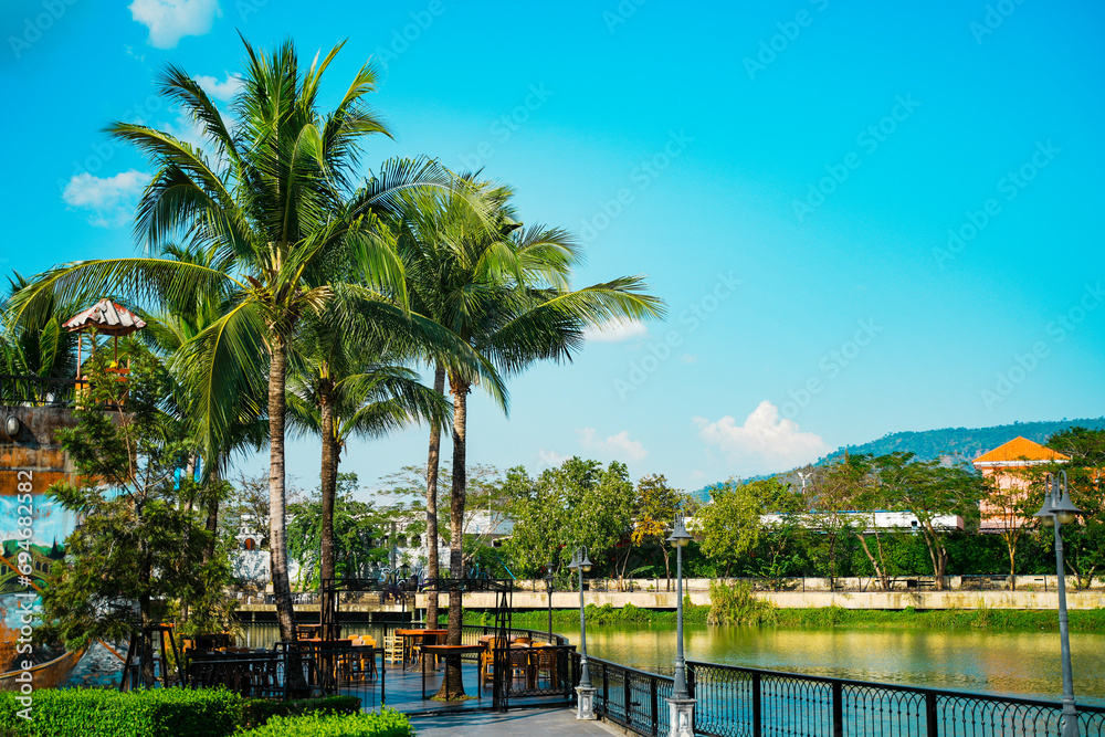 Coconut tree on the park with the river, blue sky and mountain background, nature park for background, The park beside the river. 