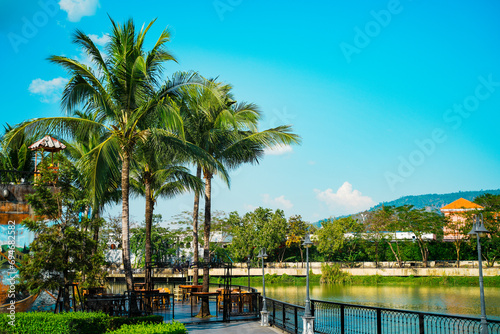 Coconut tree on the park with the river, blue sky and mountain background, nature park for background, The park beside the river.  © Kenstocker
