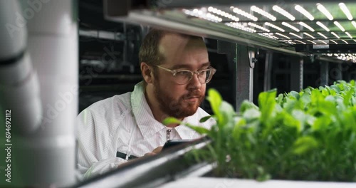 Portrait of a Bearded Biology Scientist Closely Inspecting and Analyzing Young Growing Crops. Farming Engineer Using Tablet Computer and Working in a Vertical Farm Next Natural Vegan Plants photo