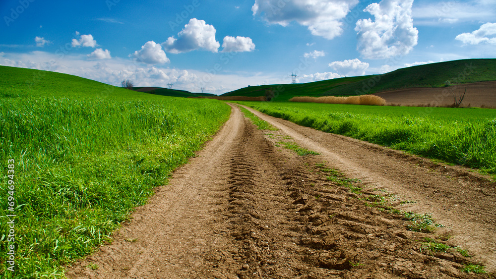Harmony of colors in nature. Green fields, plowed land and cloudy blue sky. Green crops and field view in spring. Harmony of colors in nature. Green fields, plowed land and cloudy blue sky. Green crops and field view in spring.