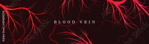A vector background design with a set of blood veins. Red blood veins vector poster design. photo