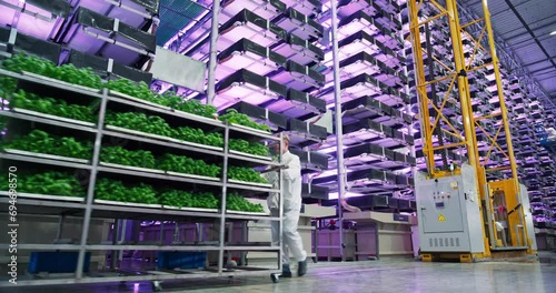 Big Vertical Farm with Multiple Rows and Layers of Eco-Friendly Plants Growing Under Artificial LED Sunlight. Workers Moving a Loaded Rack with Natural Green Vegetable Leaves photo