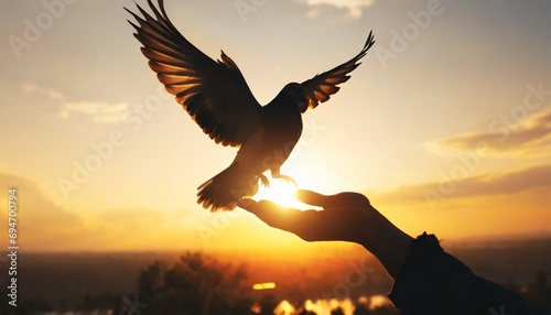 Silhouette pigeon return coming to hands in air vibrant sunlight sunset sunrise background. Freedom making merit concept © Marko