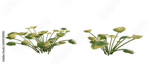 Yellow Blooming Flowers with Green Leaves Arrangement. Ficaria verna. 3D render. photo