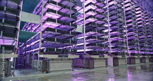 Vertical Farming Racks with Green Plants Growing in an Automated Hydroponics System. LED Lamps Producing Ultraviolet Artificial Light. Modern Agriculture Sustainable Technology. Footage Without People photo