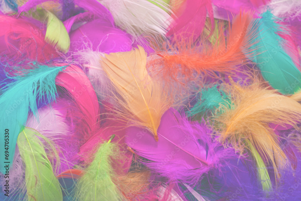 Colorful feather background. Colorful feather background.