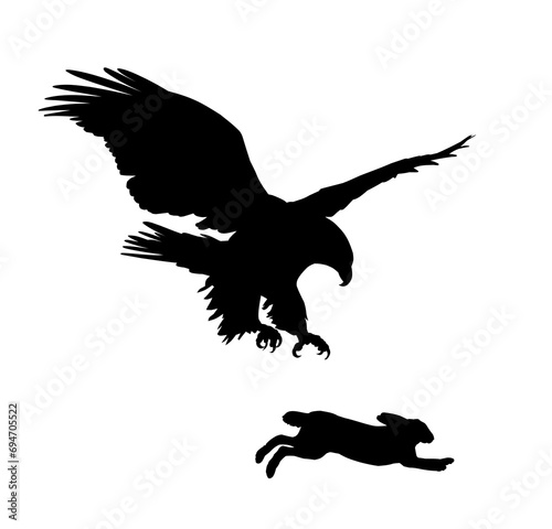 The silhouettes of a hare and flying eagle.