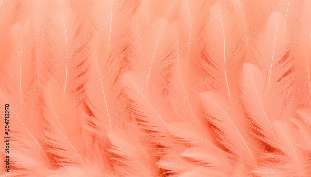 Soft peach fuzze colored feathers fill the frame with a delicate texture