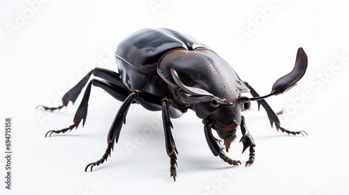 Atlas beetle (Scientific name Chalcosoma atlas) , famous exotic pets. generative ai © Witri