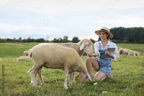Smiling woman with tablet feeding sheep on pasture at farm photo