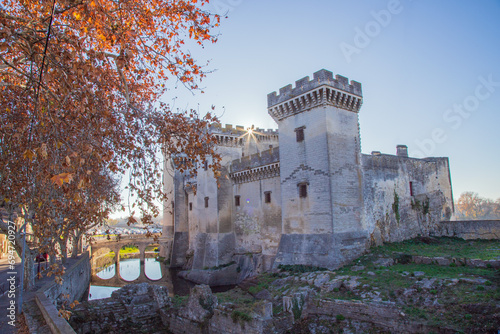 Château de Tarascon.